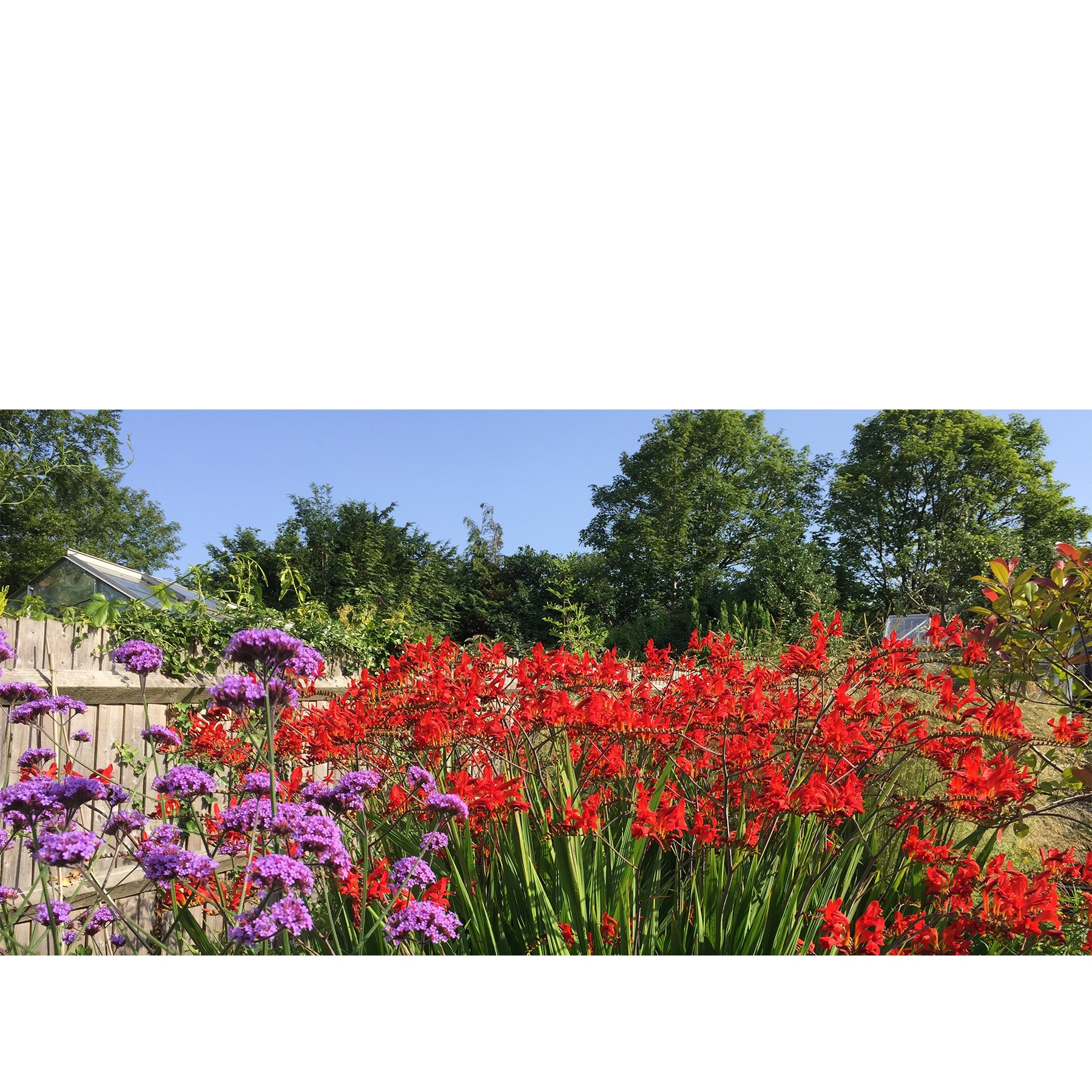 Photo of a study hall with wooden tables and chairs.